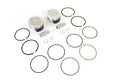 ENGINE PISTON SET