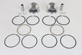 ENGINE PISTON SET