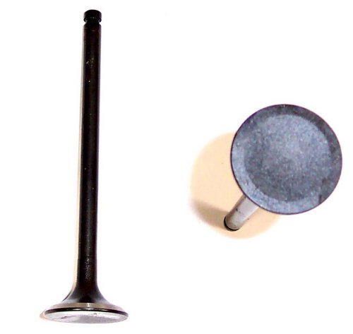 Exhaust Valve 1982-1983 Nissan 1.5L