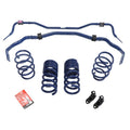 Ford Performance Parts Ford Racing 2015-2017 Mustang GT350 Sway Bar Kit