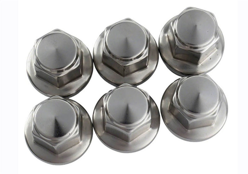Ford Performance Parts Ford Racing 2015-2018 F-150 Lug Nut Kit