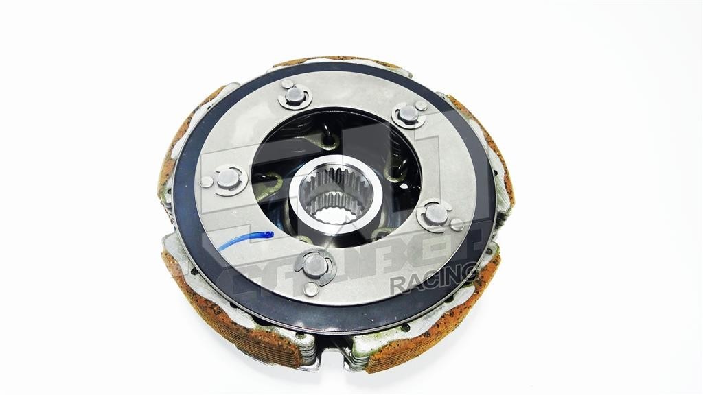 Wet Clutch Assembly - Grizzly 660