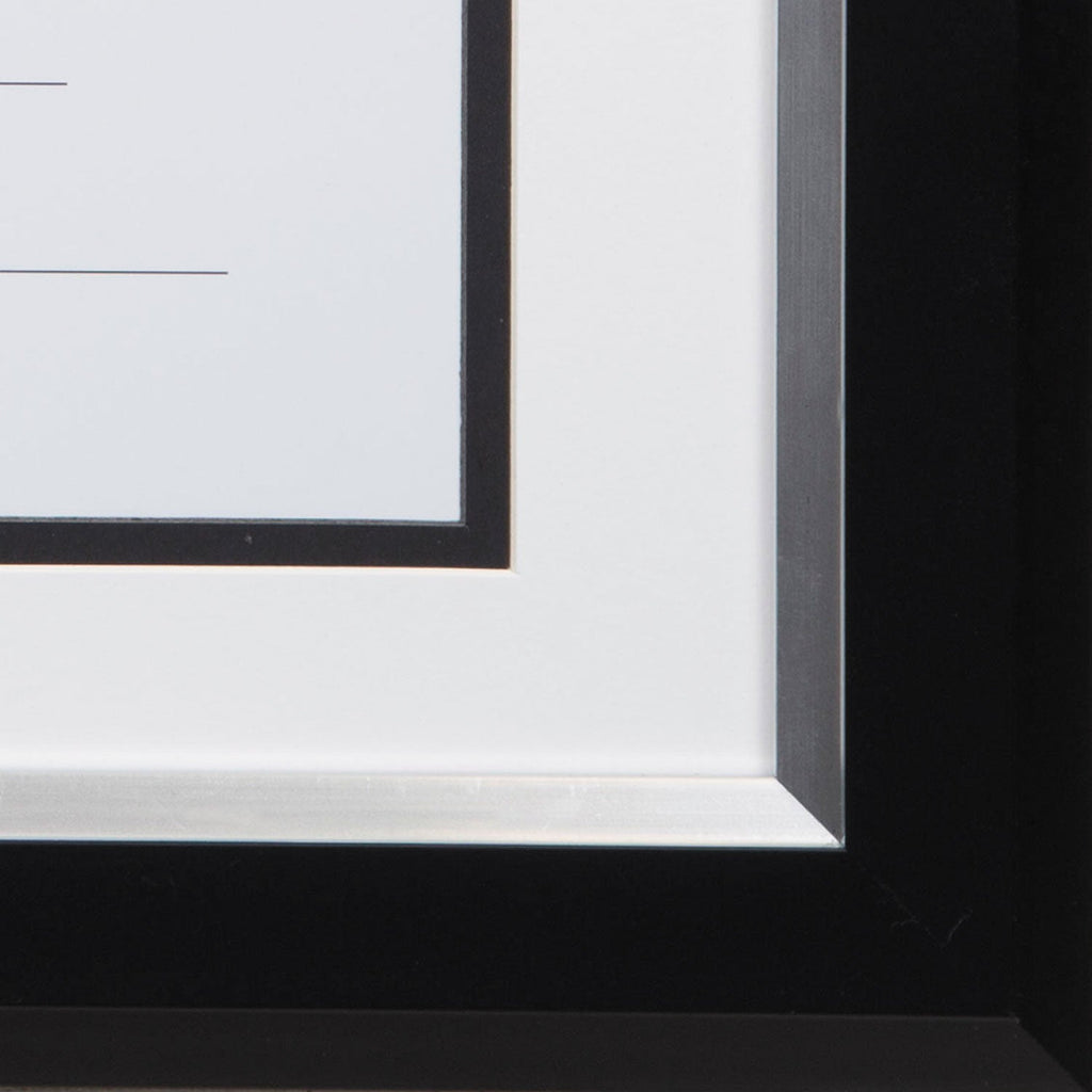 DAX 2-Tone 11 x 14 Document Frame, 8.5 x 11 Insert, Black/Silver Frame, White Mat