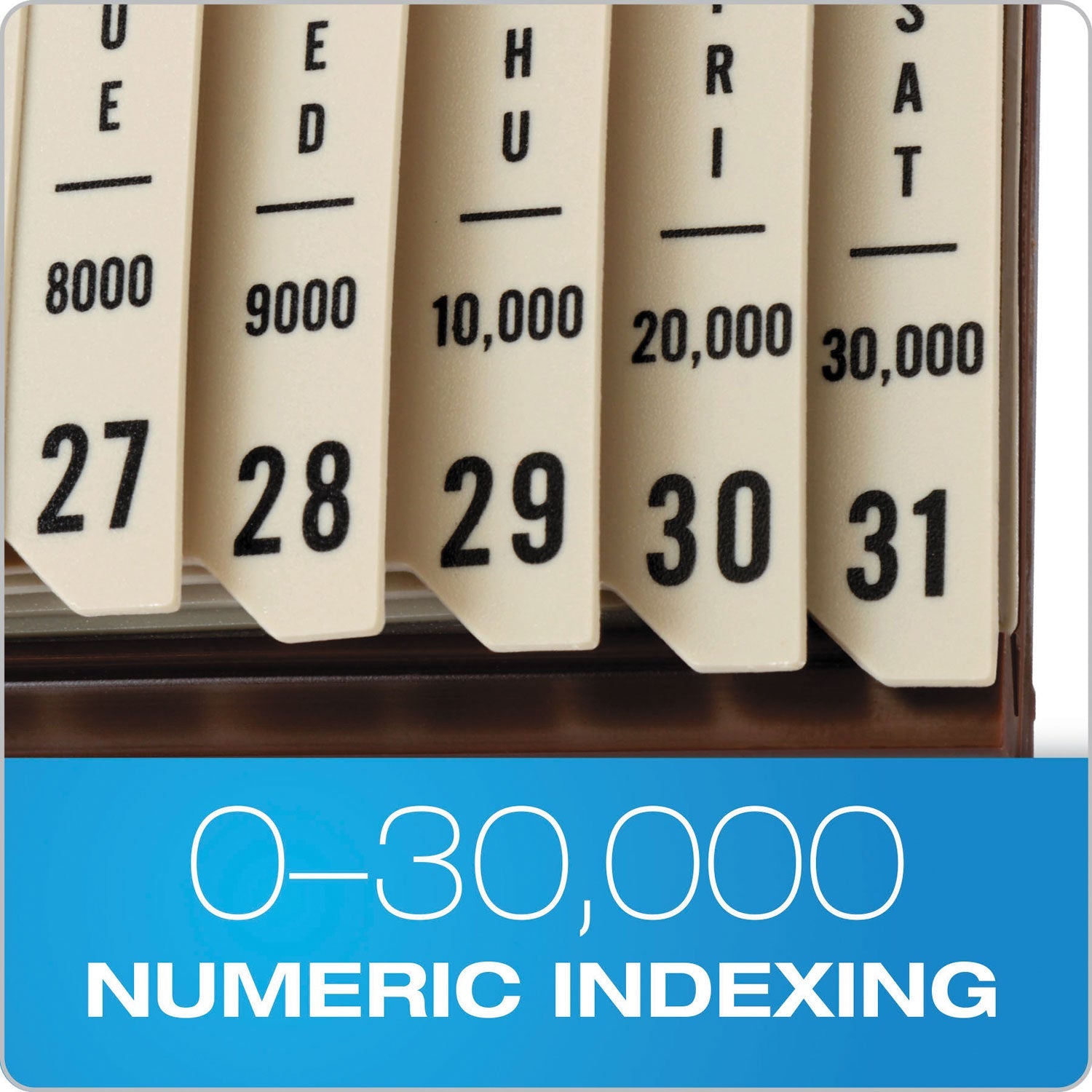 Pendaflex General Purpose Indexed Sorter, 31 Dividers, Alpha/Numeric/Month/Date/Day Index, Letter Size, Brown Frame