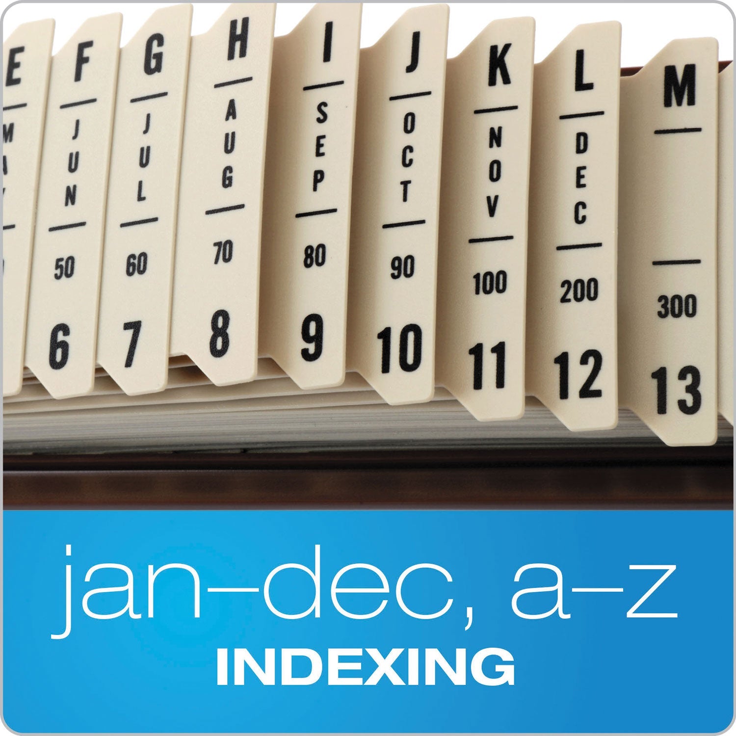Pendaflex General Purpose Indexed Sorter, 31 Dividers, Alpha/Numeric/Month/Date/Day Index, Letter Size, Brown Frame