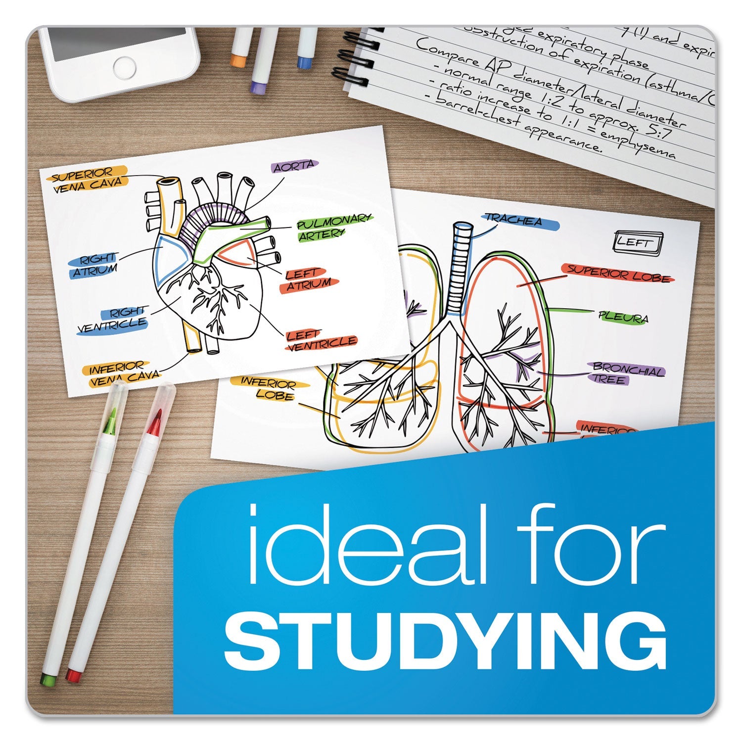 Oxford Unruled Index Cards, 5 x 8, White, 100/Pack