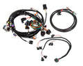 GM LS 24X EFI Harness Kit