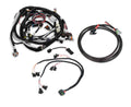 GM LS 58X EFI Harness Kit