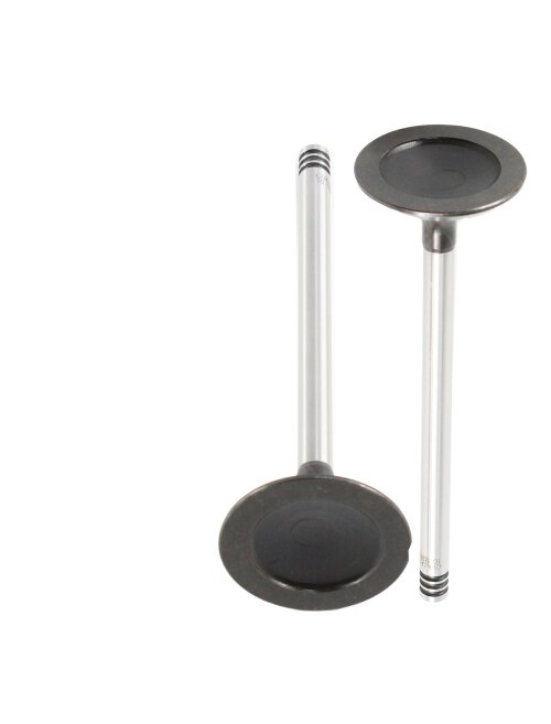 Exhaust Valve 2010-2020 Ford 6.2L
