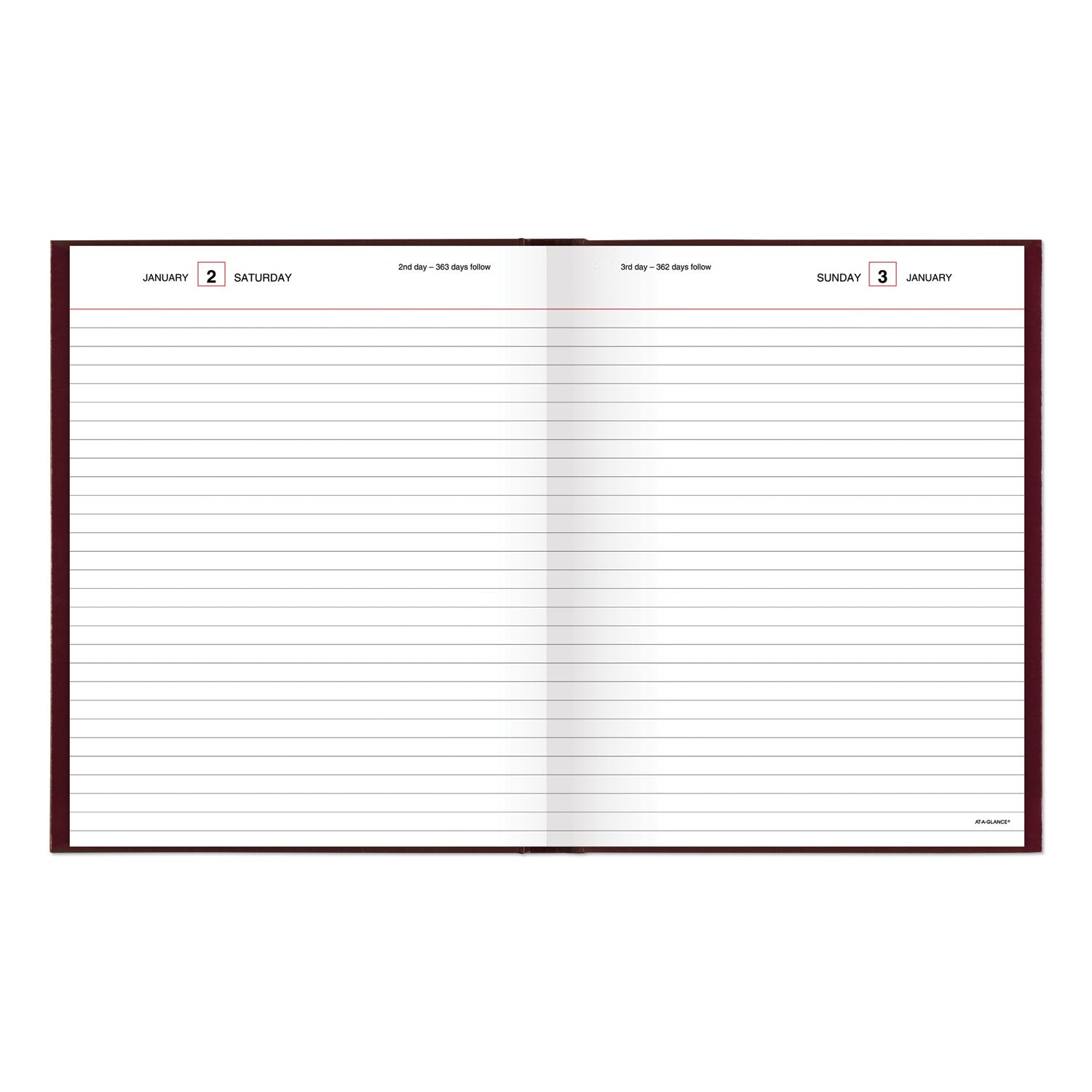 AT-A-GLANCE Standard Diary Daily Diary, 2023 Edition, Medium/College Rule, Red Cover, 9.5 x 7.5, 200 Sheets