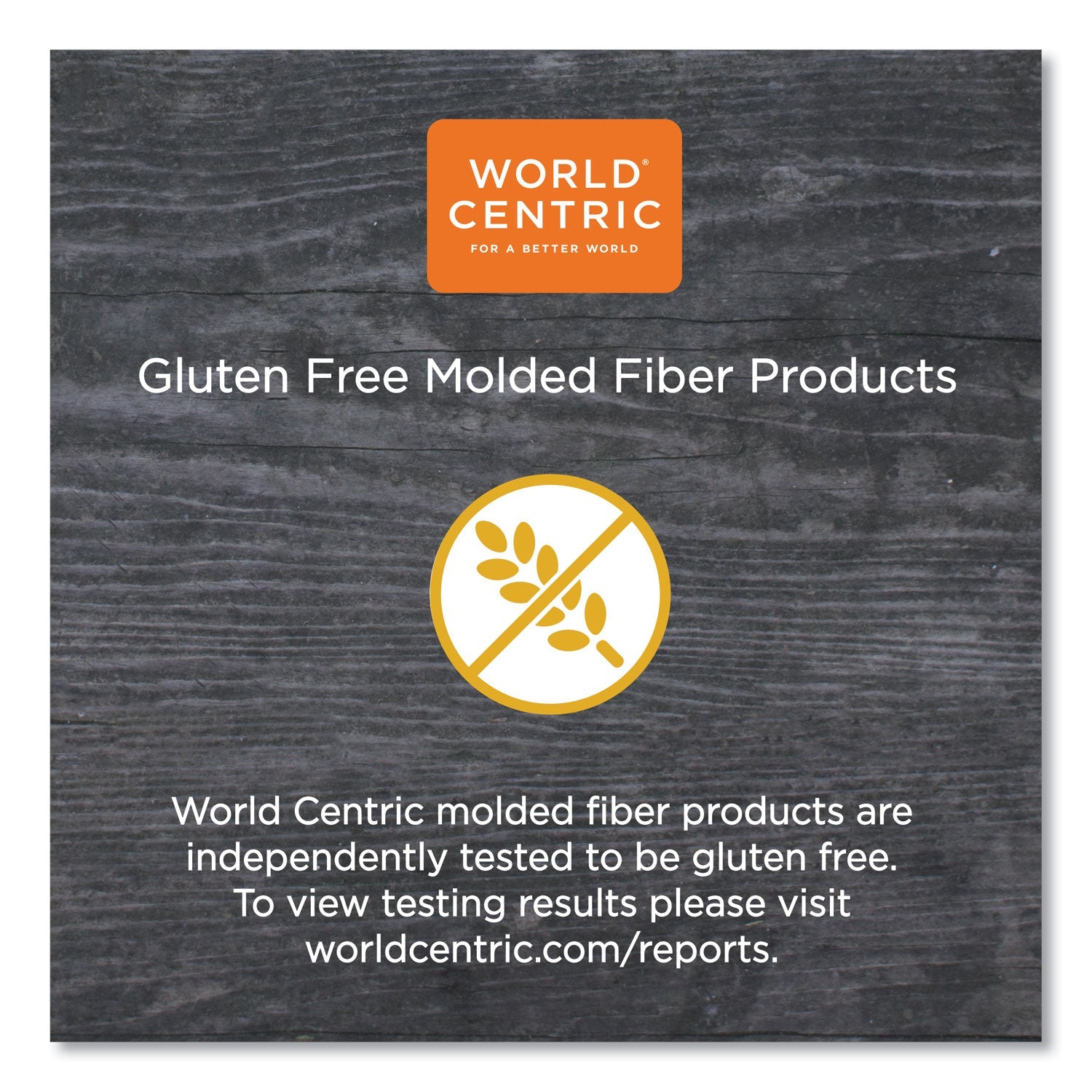 World Centric Fiber Plates, 10" dia, Natural, 800/Carton