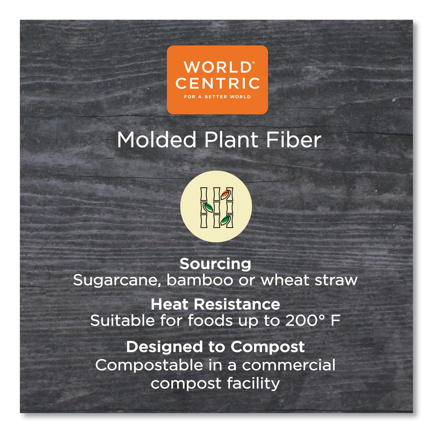 World Centric Fiber Plates, 10" dia, Natural, 800/Carton