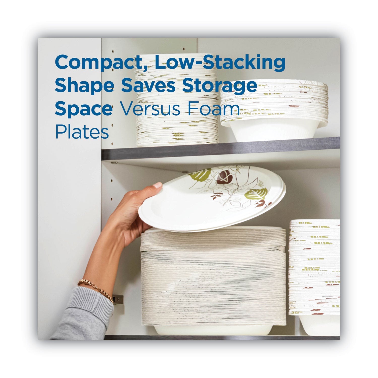 Dixie Pathways Soak-Proof Shield Mediumweight Paper Plates, WiseSize, 8.5" dia, Green/Burgundy, 125/Pack