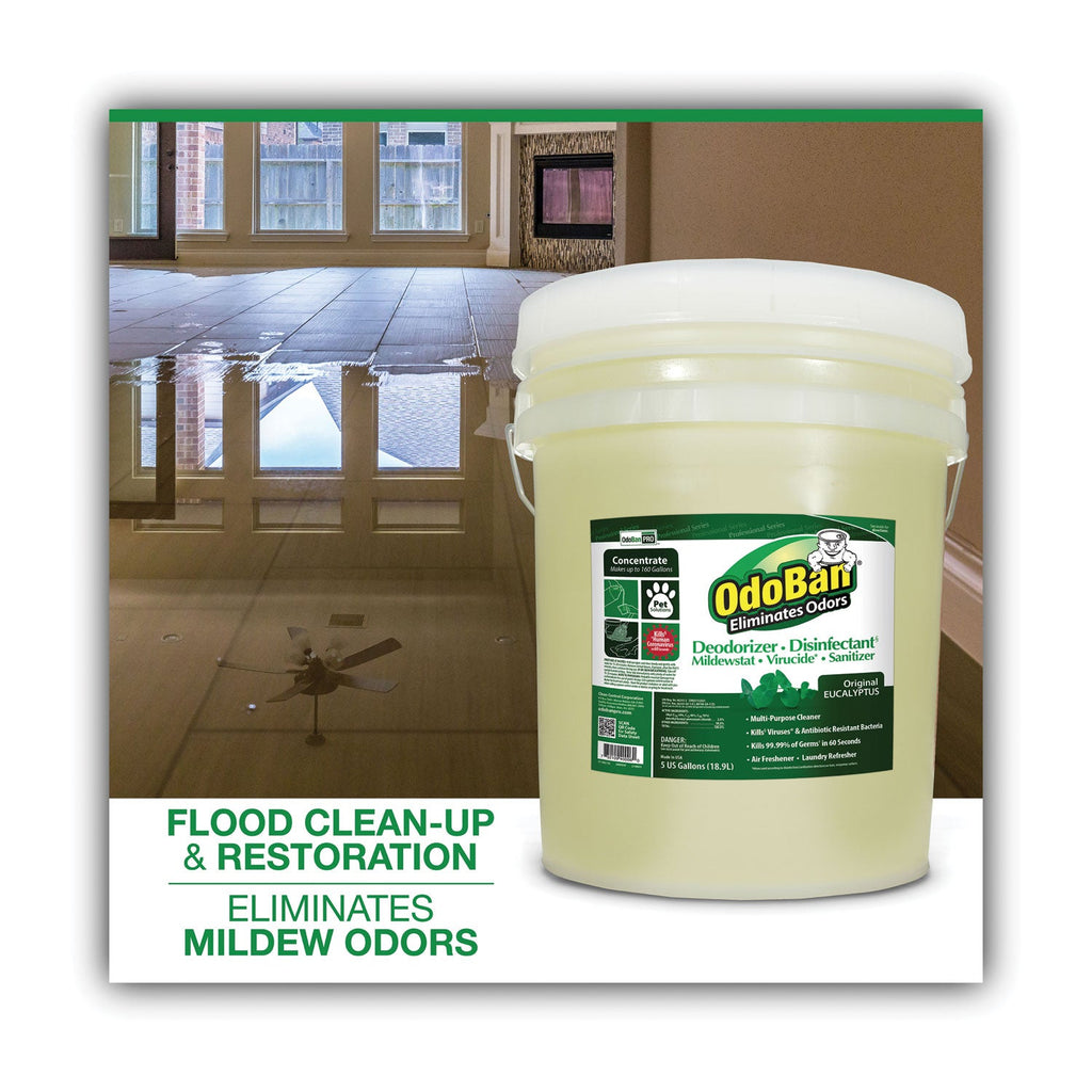 OdoBan Concentrated Odor Eliminator and Disinfectant, Eucalyptus, 5 gal Pail