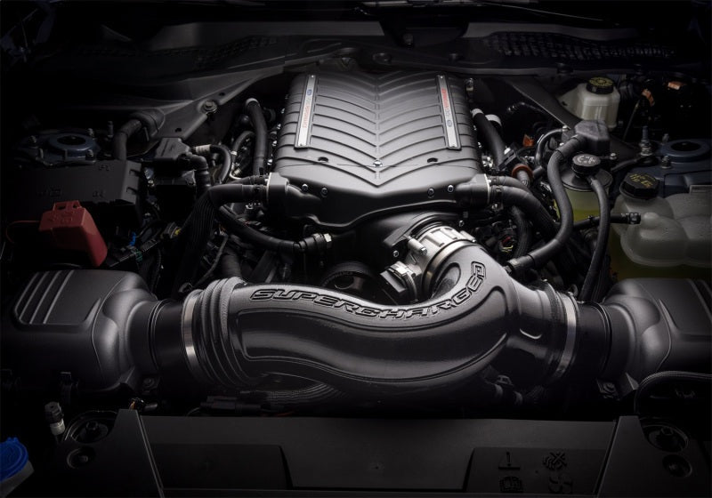 Ford Racing 2024+ Mustang GT/Dark Horse 5.0L Supercharger Kit M-6066-M8800