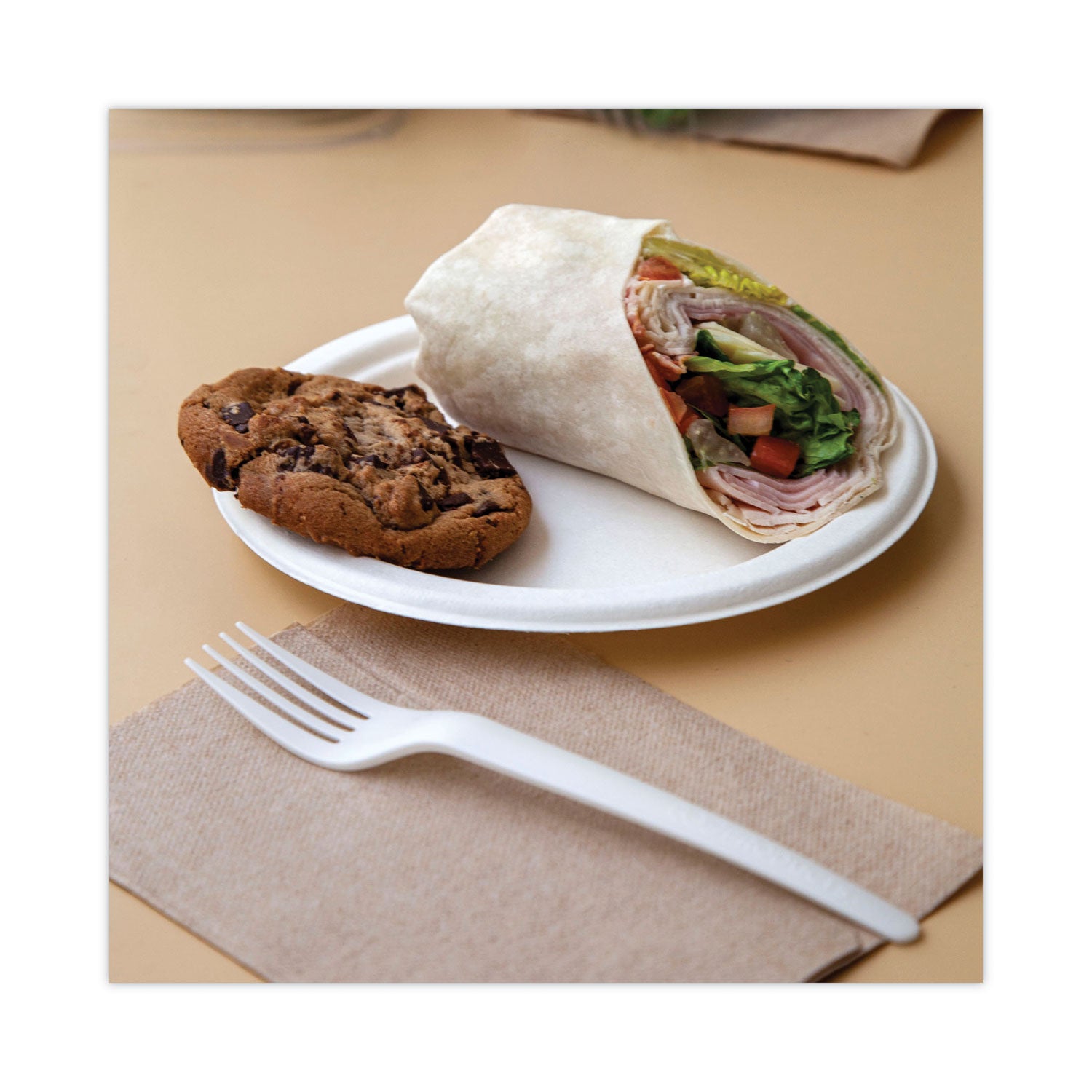 Eco-Products Renewable and Compostable Sugarcane Dinnerware, Plate, 10" dia, Natural White, 50/Pack