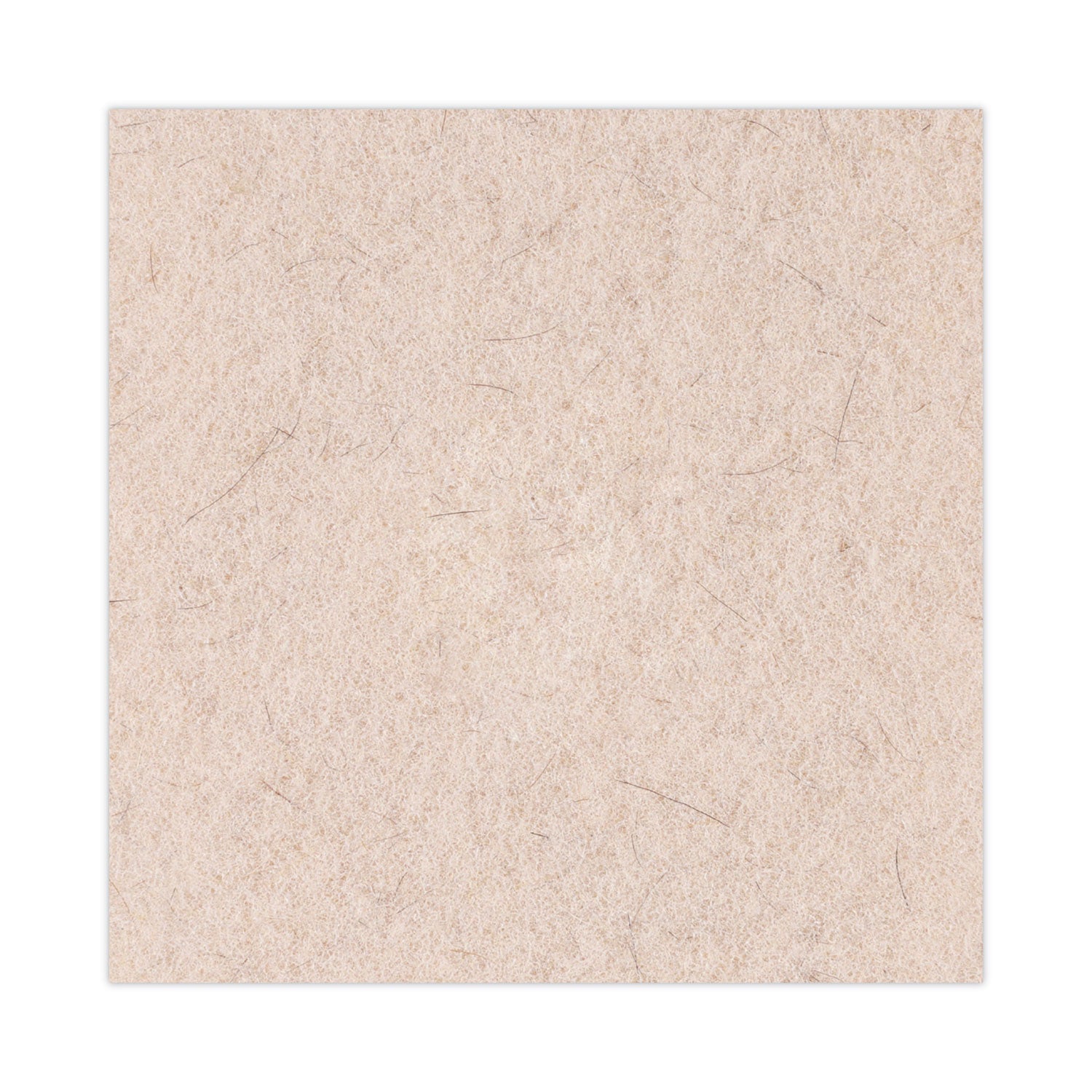 Boardwalk Natural Hog Hair Burnishing Floor Pads, 20" Diameter, Tan, 5/Carton