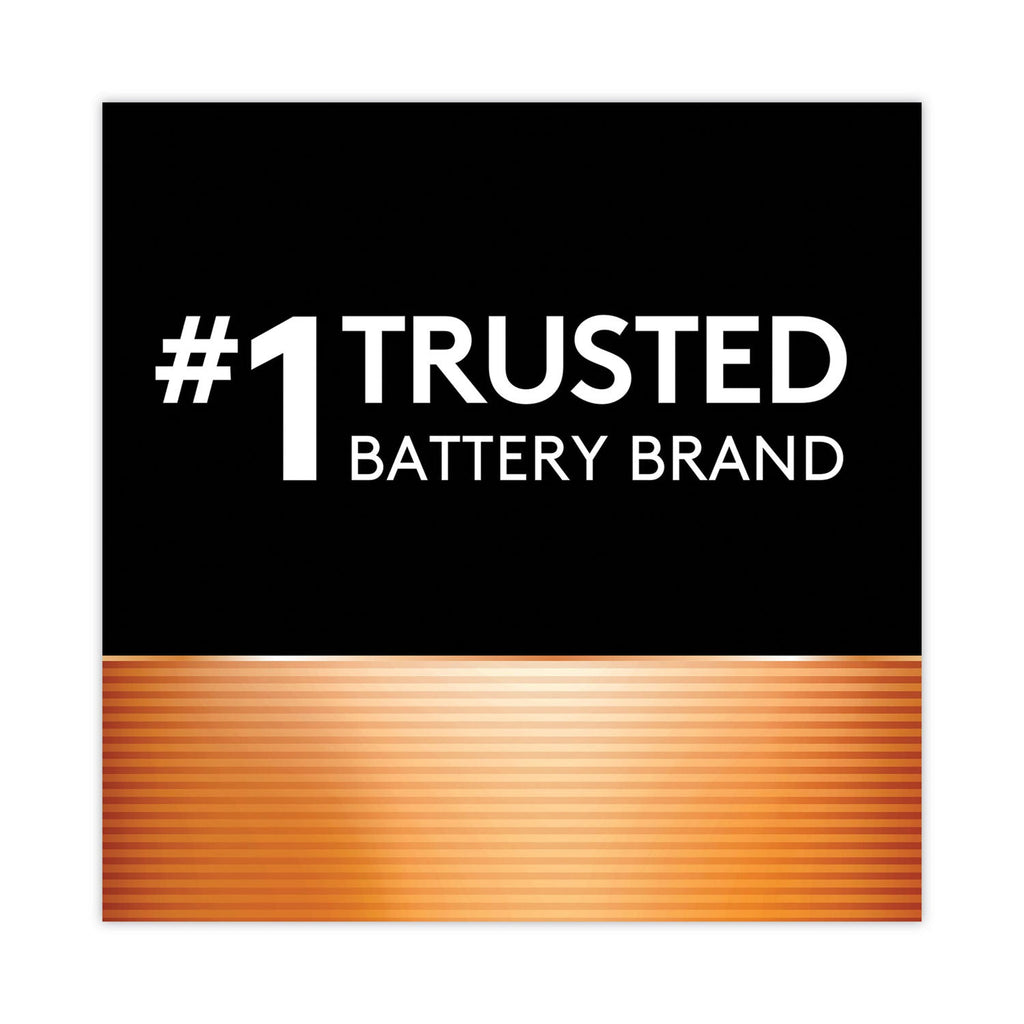 Duracell Power Boost CopperTop Alkaline AA Batteries, 2/Pack