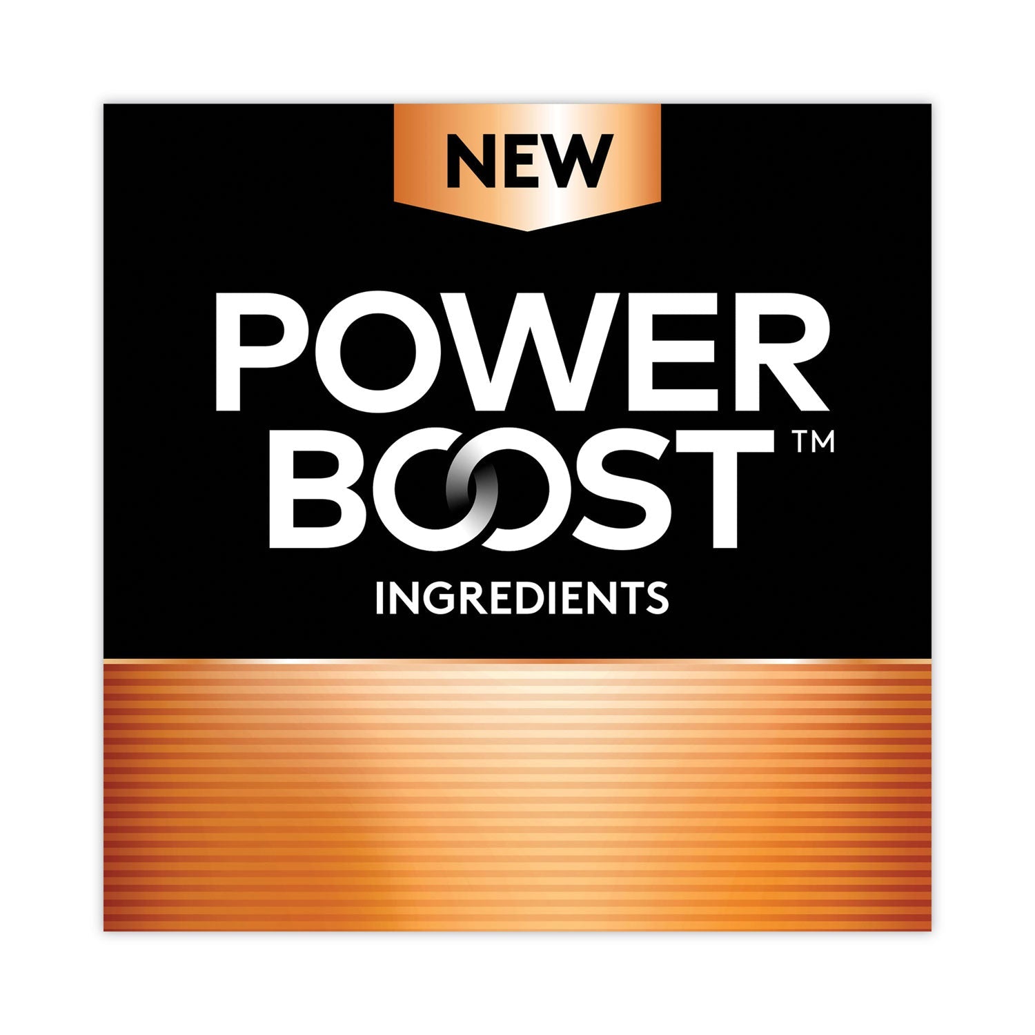 Duracell Power Boost CopperTop Alkaline AA Batteries, 2/Pack