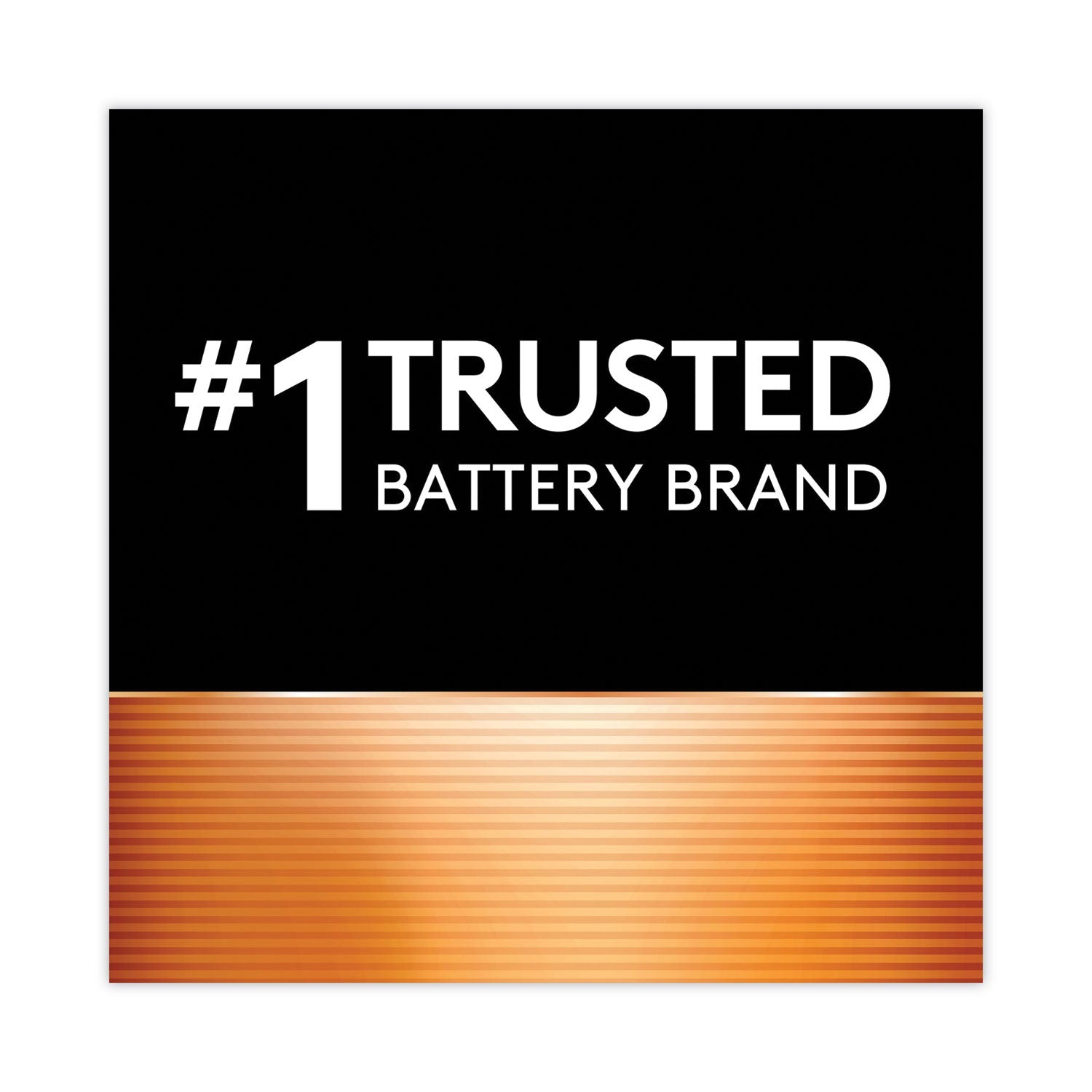 Duracell Power Boost CopperTop Alkaline AAA Batteries, 36/Pack