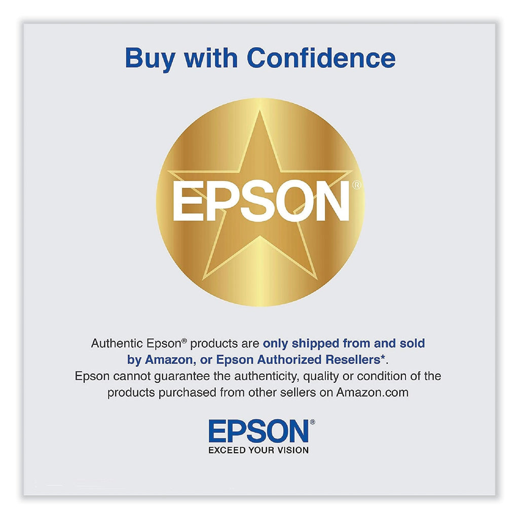 Epson T606100 (60) Ink, Photo Black