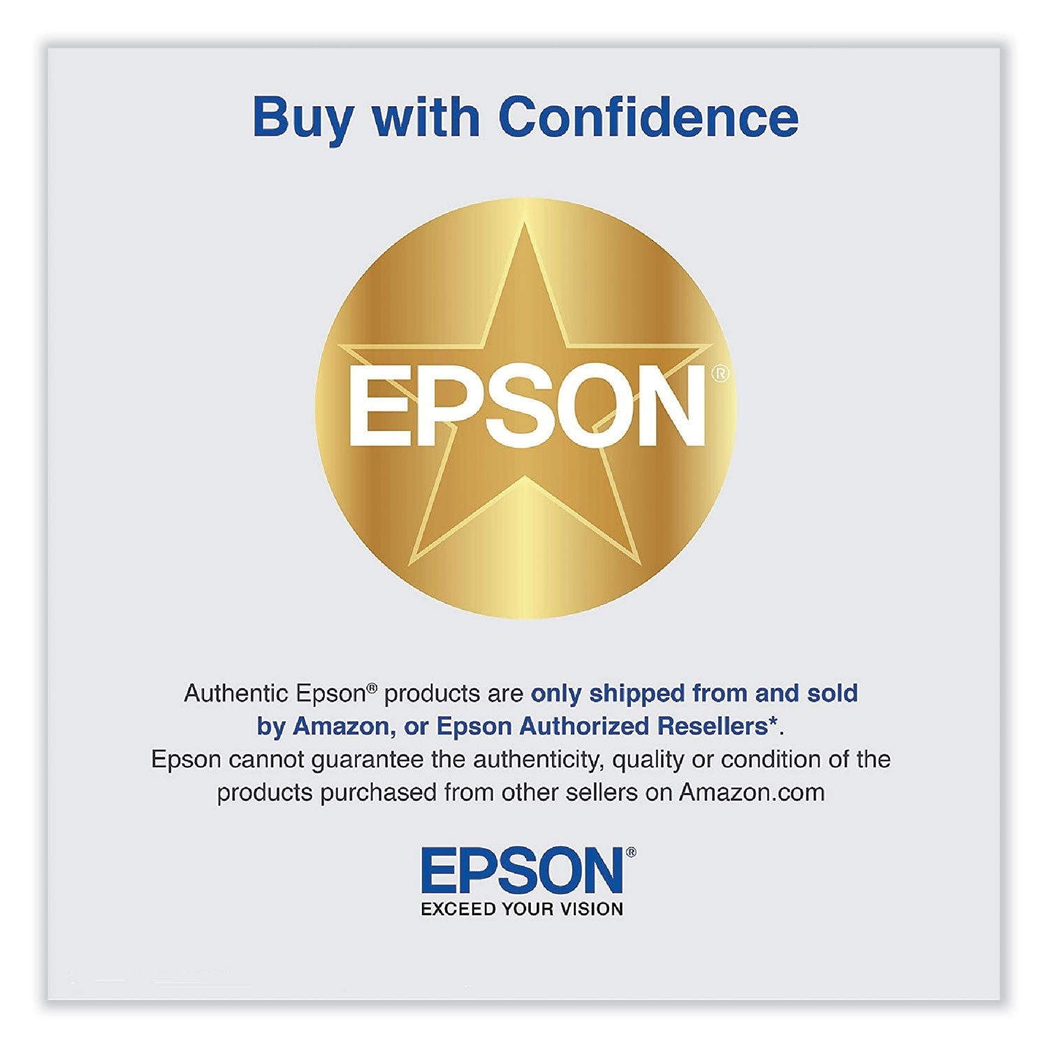 Epson T606100 (60) Ink, Photo Black