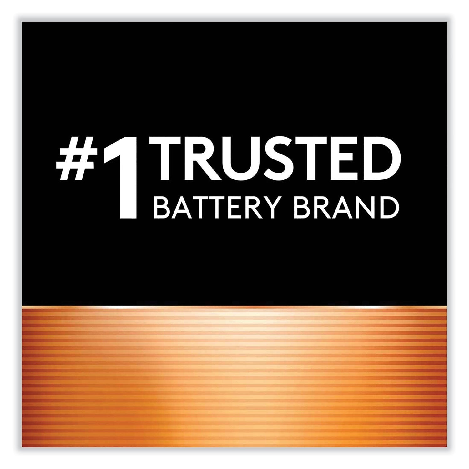 Duracell Rechargeable StayCharged NiMH Batteries, AAA, 4/Pack