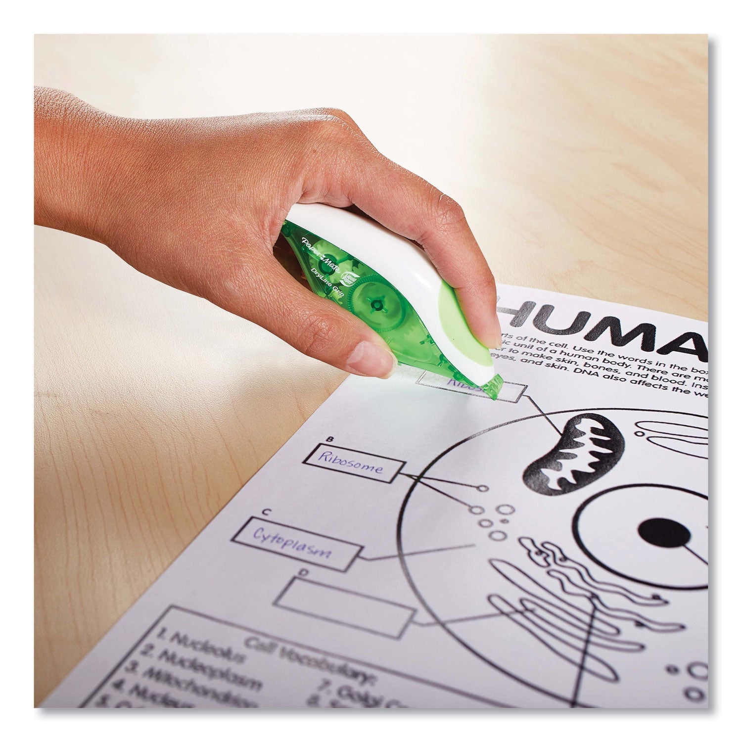 Paper Mate DryLine Grip Correction Tape, Non-Refillable, Gray/Green Applicator, 0.2" x 335", 2/Pack