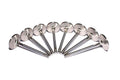 COMP Cams Ss Valves SBC Int 2.020in 11/3 6009-8