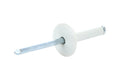 Lg Hd Rivet White Alum 250pk
