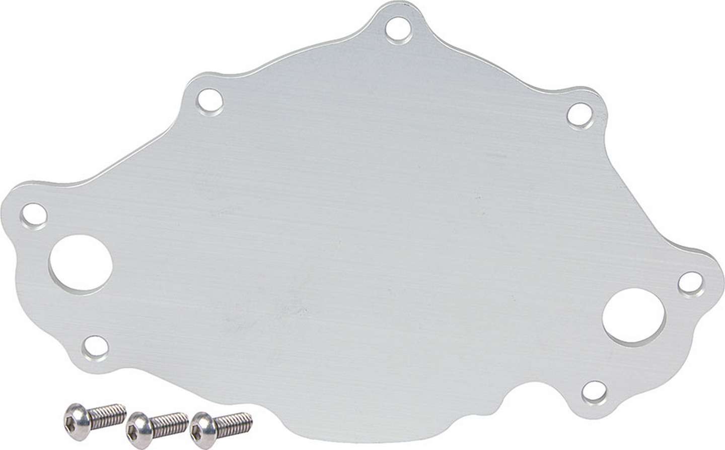 WATER PUMP BACK PLATE