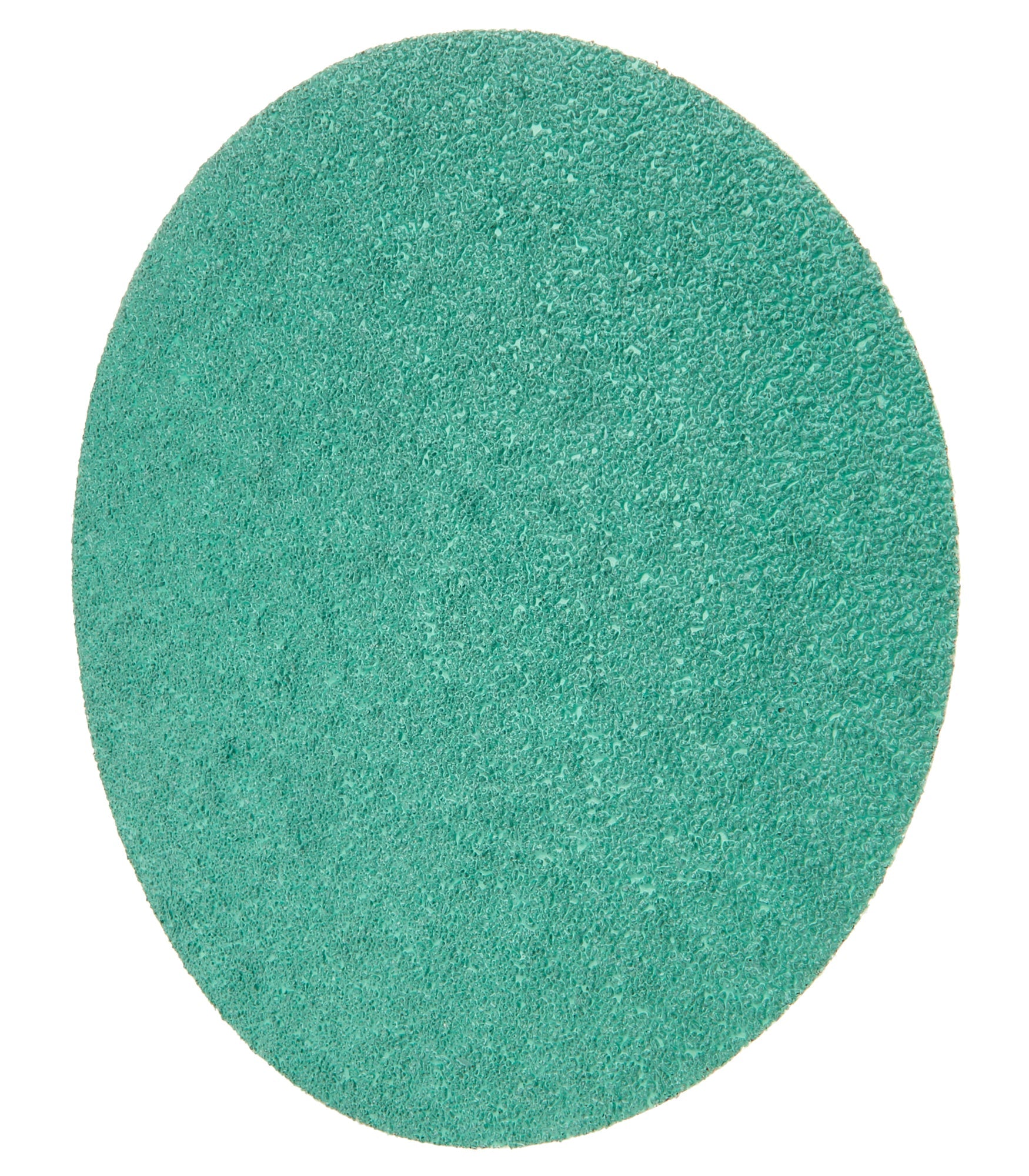 8 IN SANDING DISCS 36 GRIT