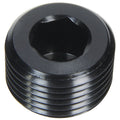 Allen Plug NPT 1/2in