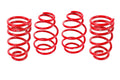 LOWERING SPRINGS (SET)