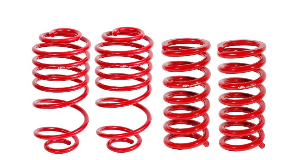 LOWERING SPRINGS-SET