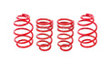 LOWERING SPRING KIT