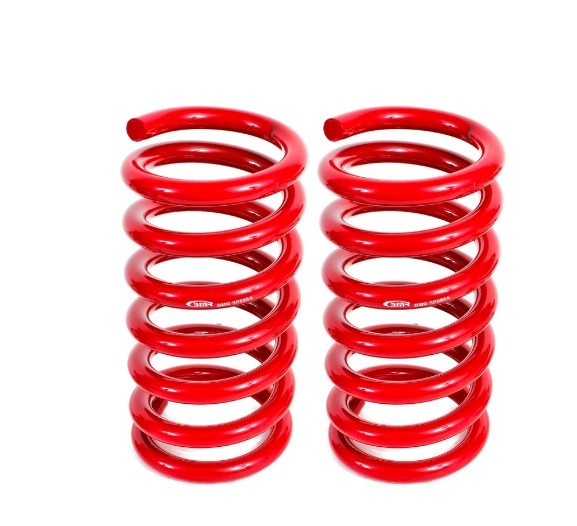 LOWERING SPRINGS  REAR  DRAG