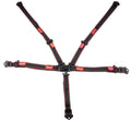 Harness 5pt L&L P/U 2in Black