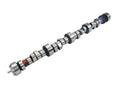 CAMSHAFT HYD ROLLER CHEVY LT1