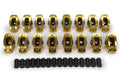 ULTRA GOLD ROLLER ROCKERS