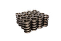 VALVE SPRINGS