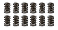 SPRING SET W/DAMPER .650