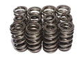VALVE SPRINGS