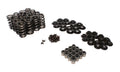 BEEHIVE VALVE SPRING KIT