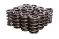 VALVE SPRINGS DUAL 1.300 OD