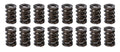 DUAL SPRING SET W/DAMPER .800