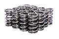 VALVE SPRINGS