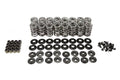 DUAL VALVE SPRING KIT