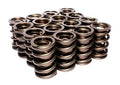 VALVE SPRINGS DUAL 437 LB/IN