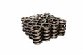 DUAL SPRING SET W/DAMPER .760